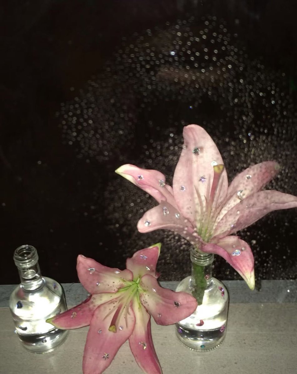 🌙 Orrery tweet media