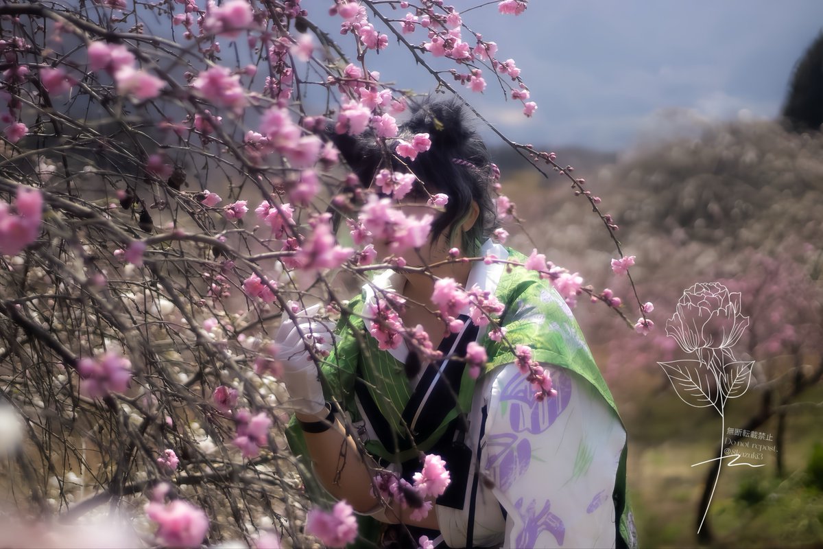 Cos／ 明日方舟 ／松桐(マツキリ)

世の中に たえて桜の なかりせば 
　　　　　　春の心は のどけからまし

📷photo thx__ (<a href="/s_z_photo/">涼守📸🌸</a> )

#アークナイツcos #明日方舟cos