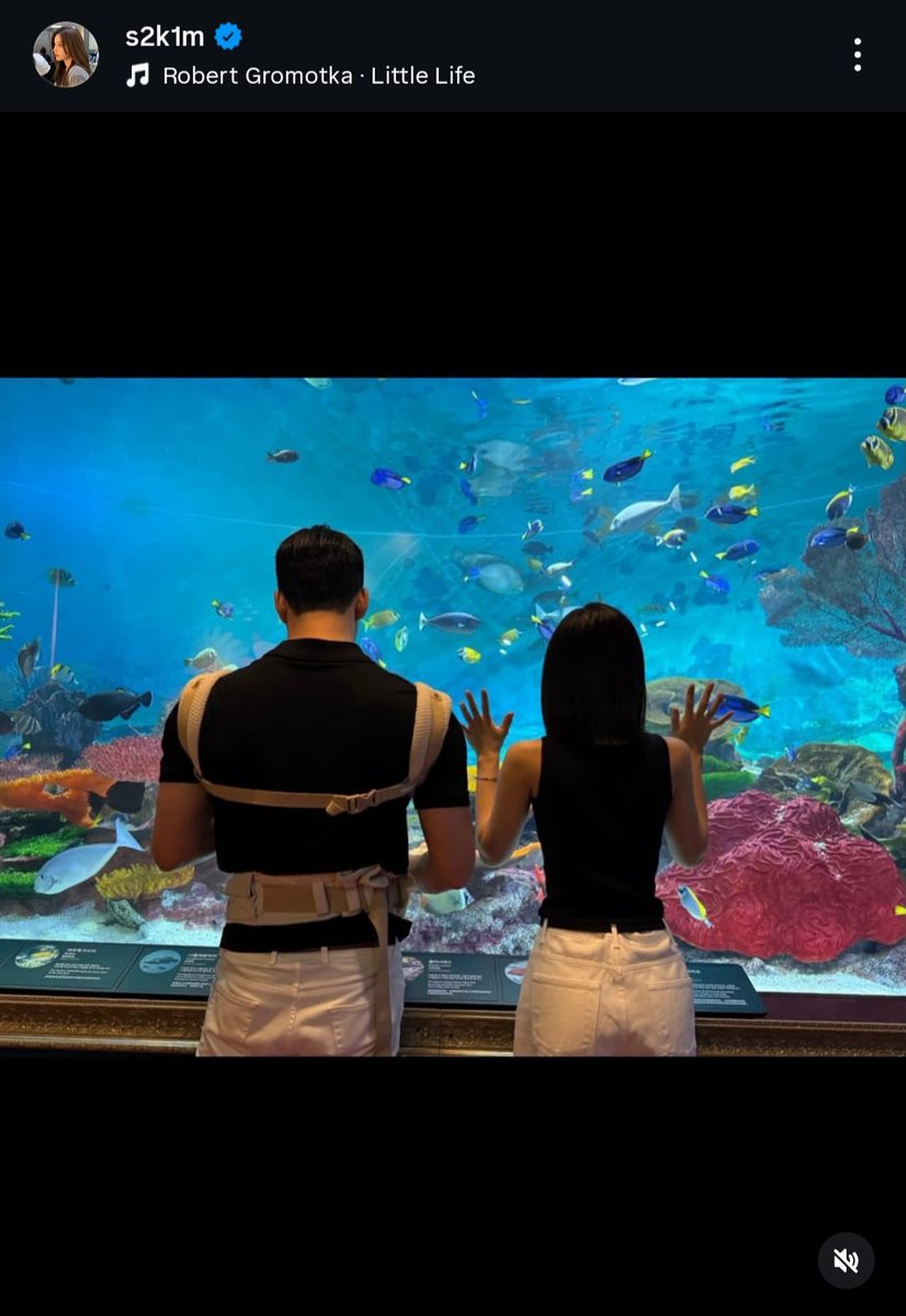 K-Drama Menfess tweet media