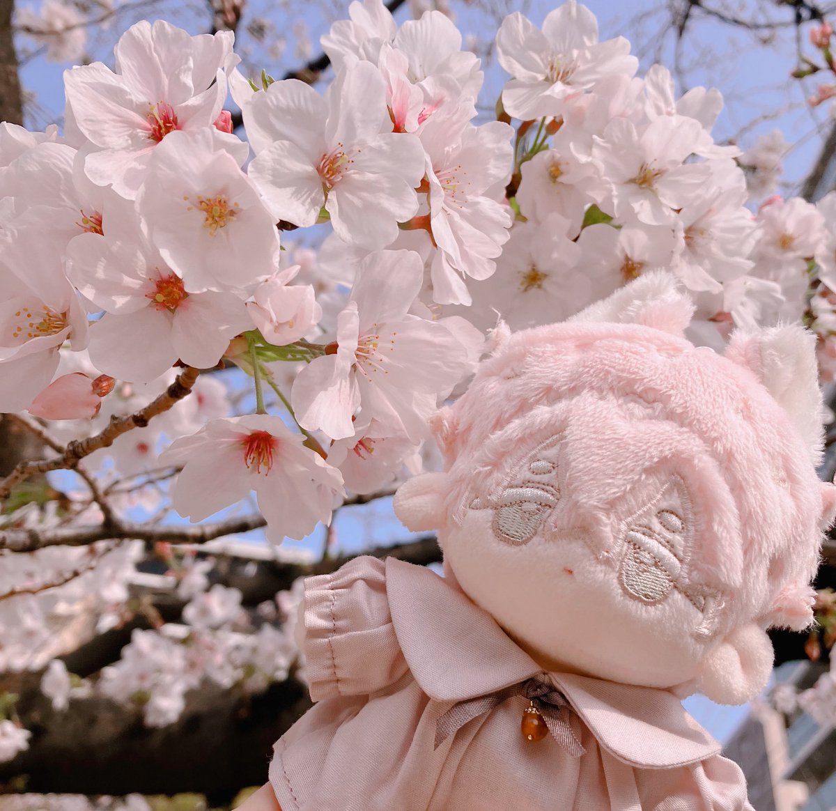 ちとせ(沼) tweet media