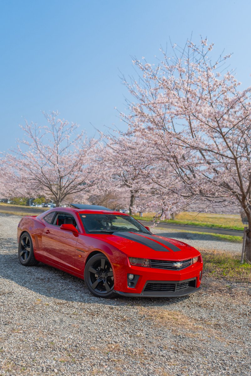 𝑨 𝑲 𝑰 tweet media