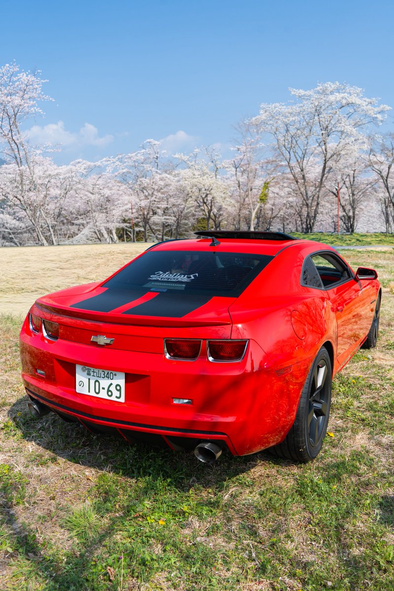 𝑨 𝑲 𝑰 tweet media