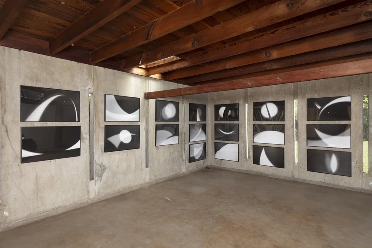 ArtRabbit tweet media