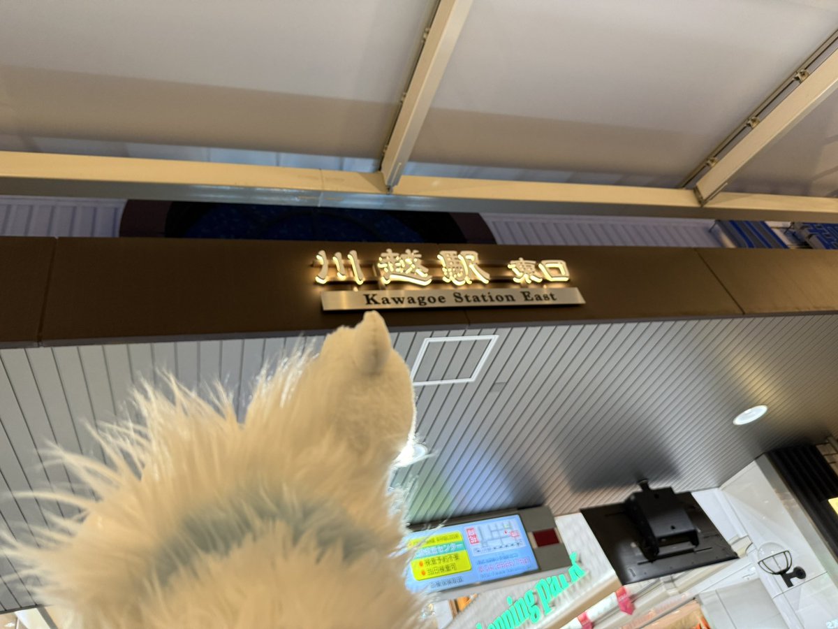 kawaraku➡️HiFurry tweet media