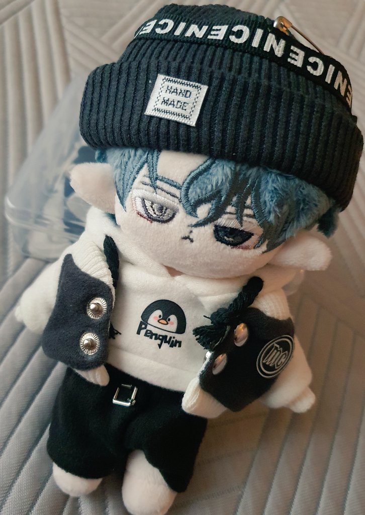 ✦ 펠스 tweet media