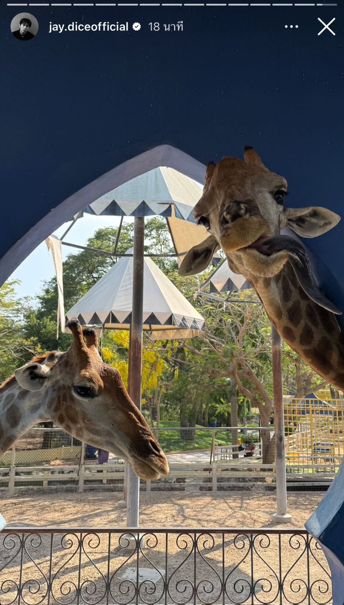 k𝑖TTy🍒 tweet media