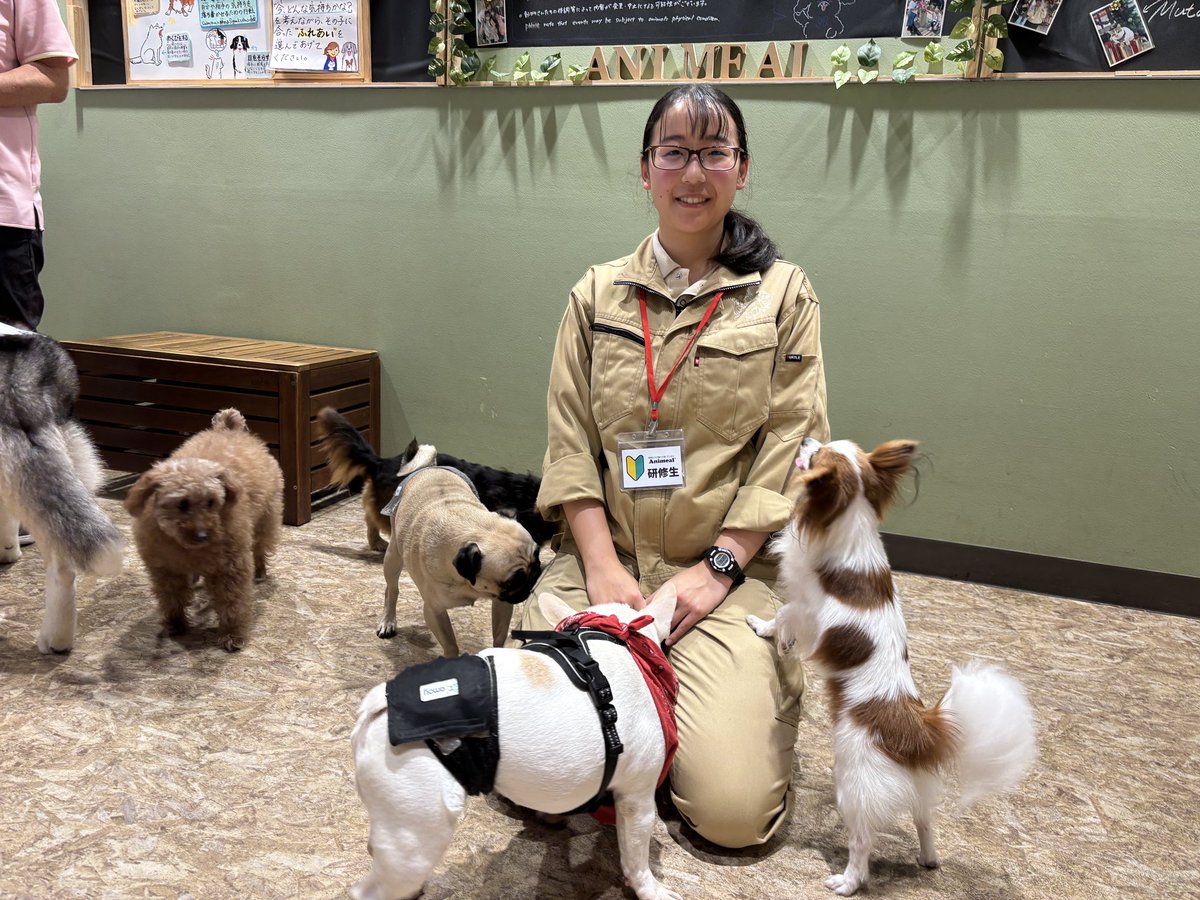 春休みインターン実習Vol.8
アニミルお台場店
#アニミルお台場店　#埼玉動物海洋専門学校