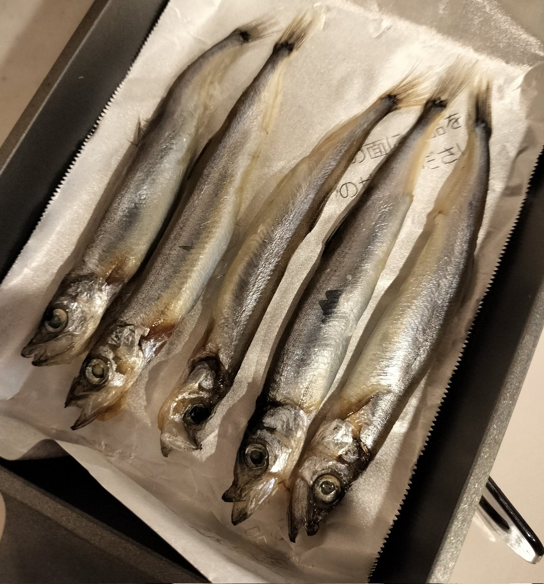 Elli❂🐰📢 tweet media