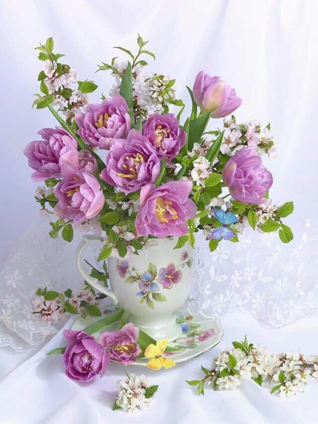 The floral diary (@captured_scenes) on Twitter photo 