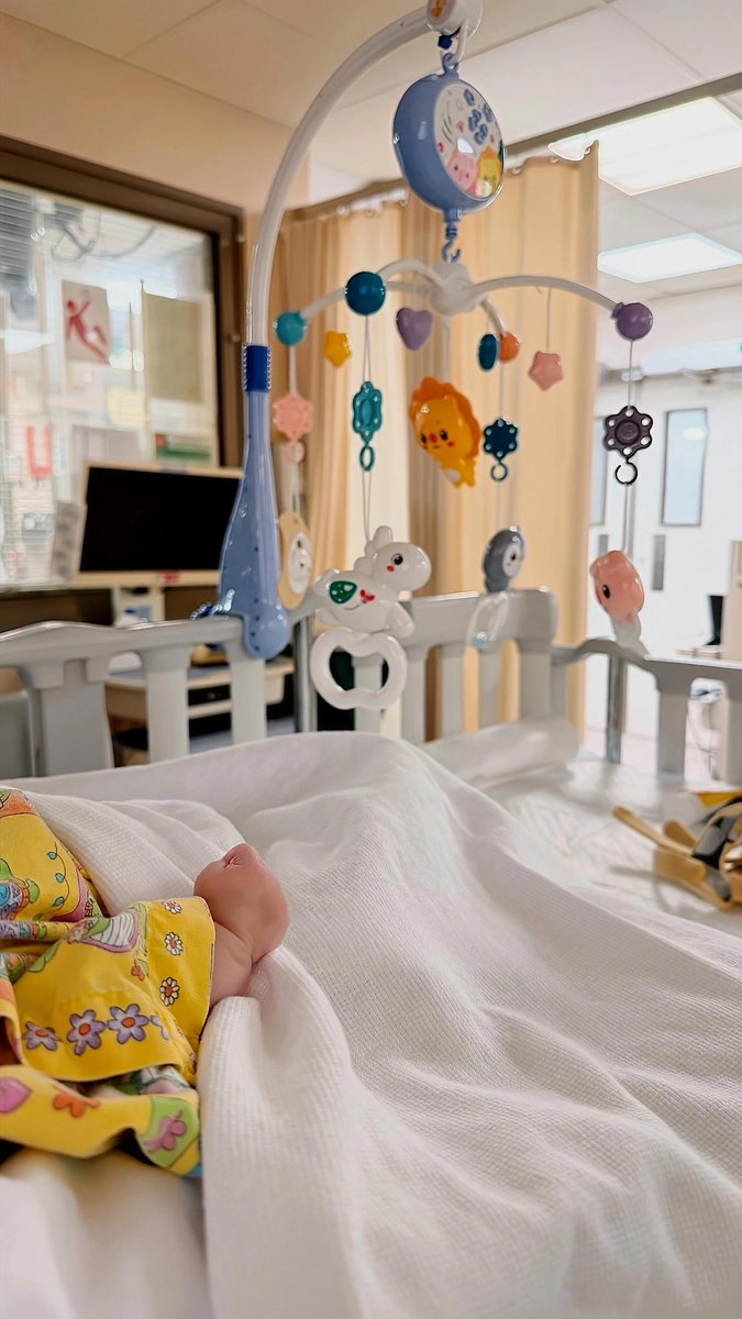 أ.ليلى آل سليمان 🕊 tweet media