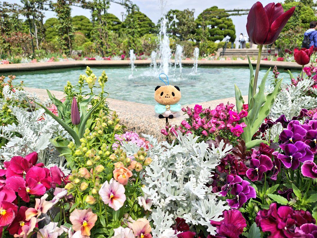 のっぴ🍬🌸 tweet media