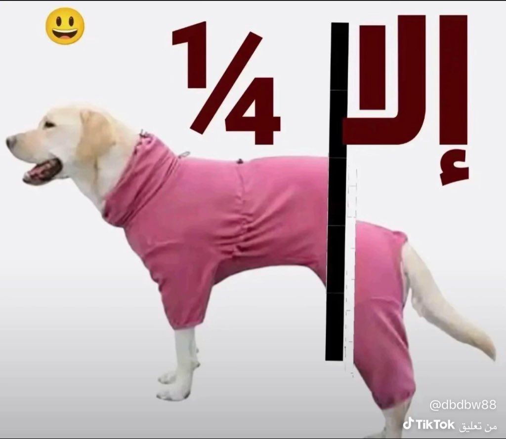 ابو محمد tweet media