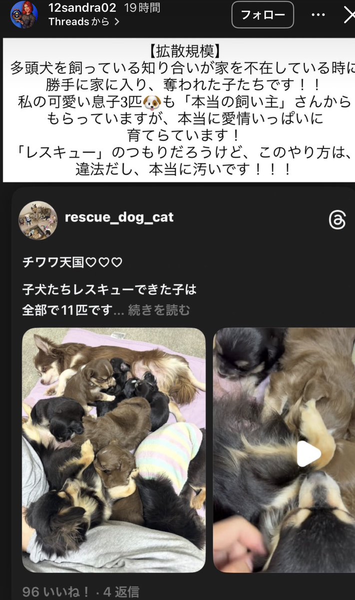 きゅうり鯖之介 tweet media