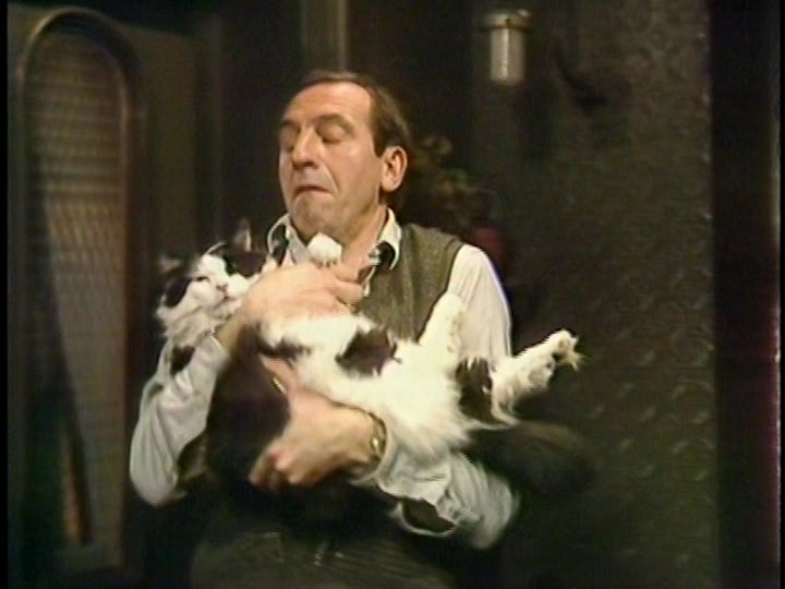Giving Rising Damp a rewatch. Even the cat is perfectly cast.
