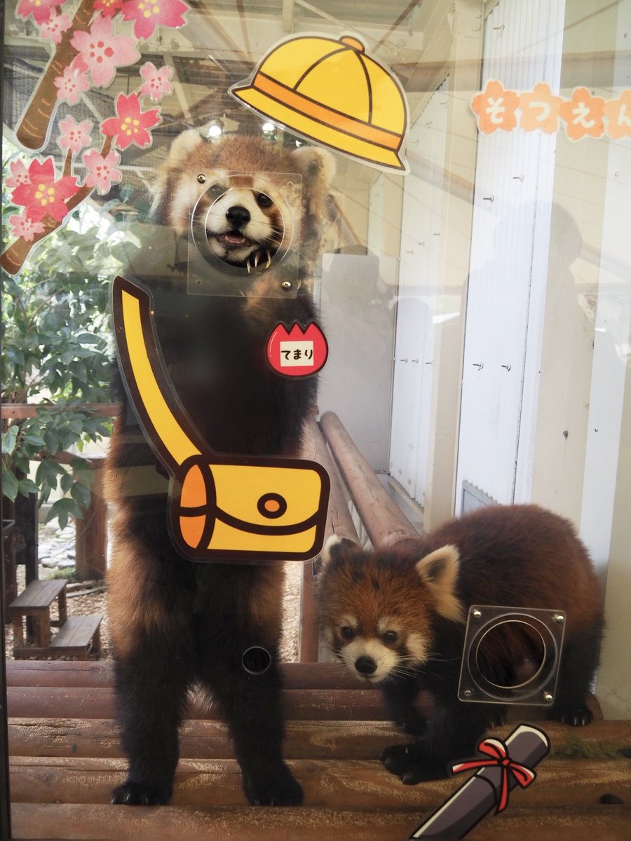 ⁿᵃᵍᵃᵒ tweet media