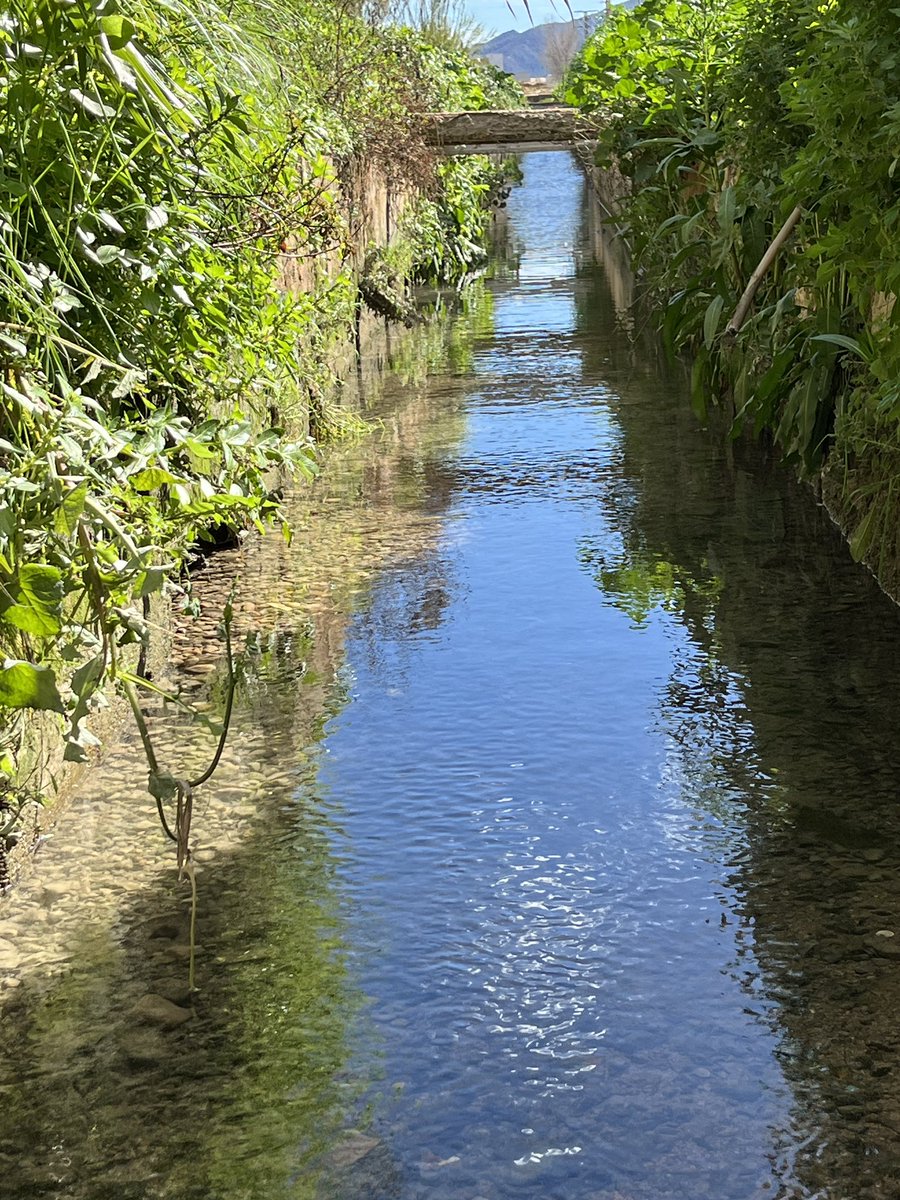 En un lugar de la Huerta tweet media