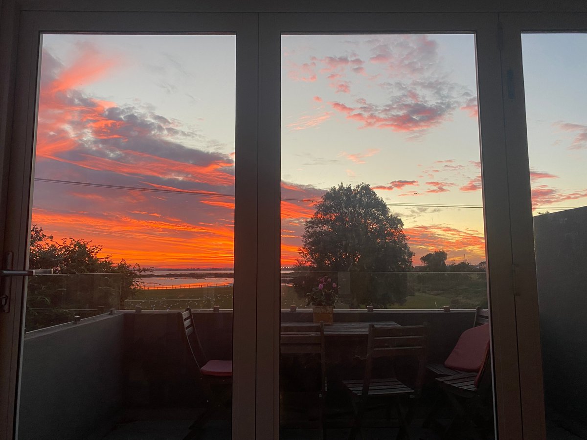 David Bishop (🦋 also bluespotscience.bsky.social) tweet media