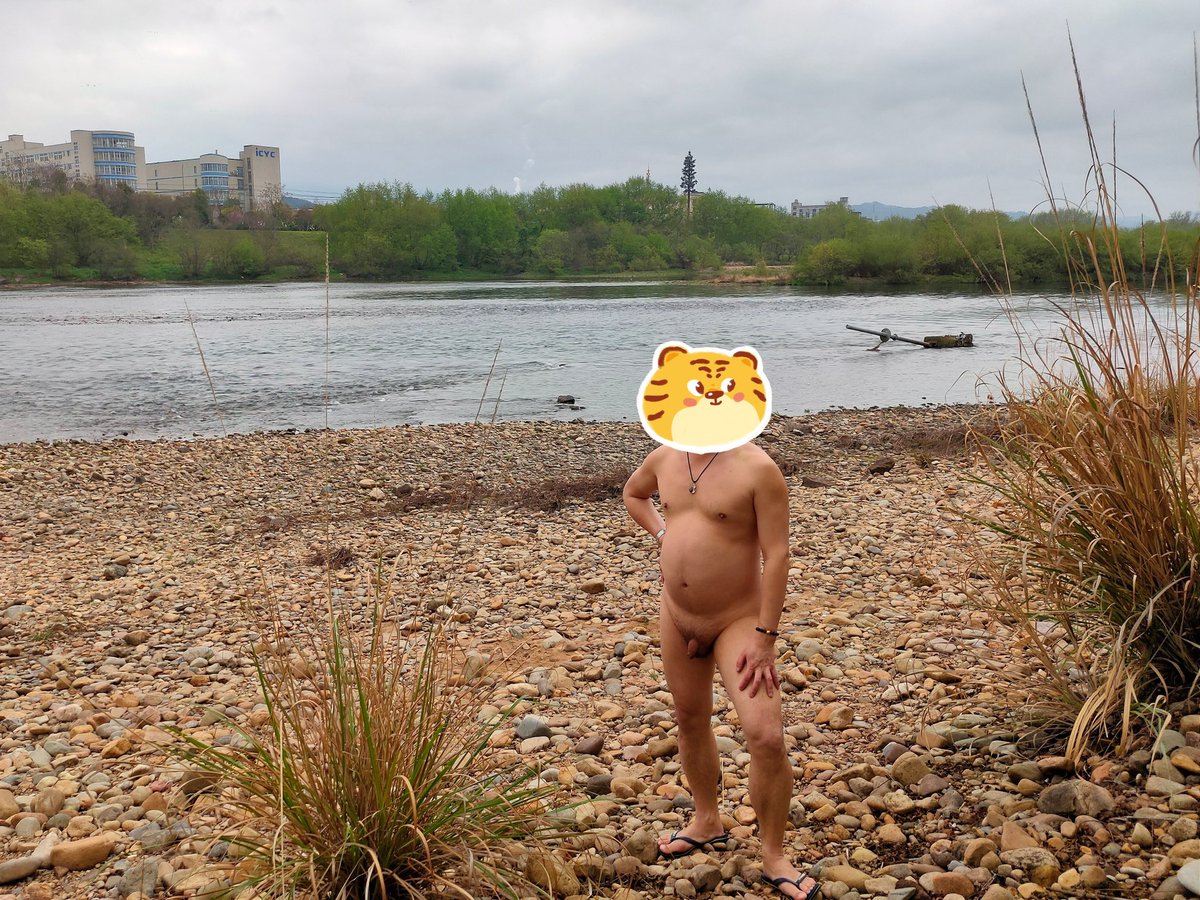 变熊的德鲁伊 tweet media