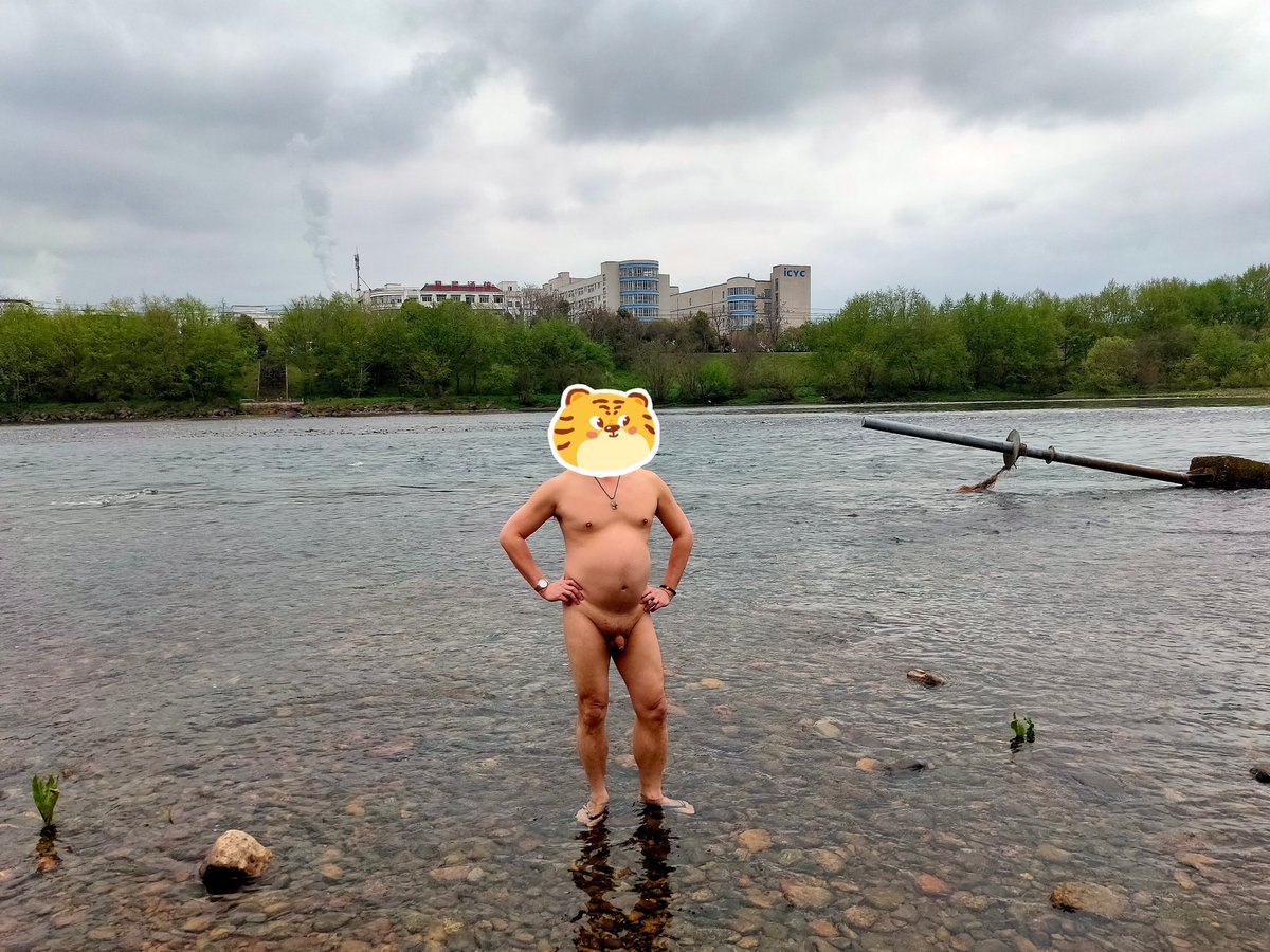 变熊的德鲁伊 tweet media