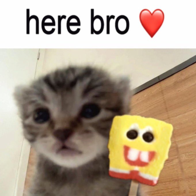 Rad 💤☁️ tweet media