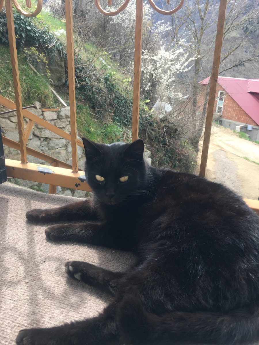 gökyüzü ☀️💫 #foureveryou tweet media