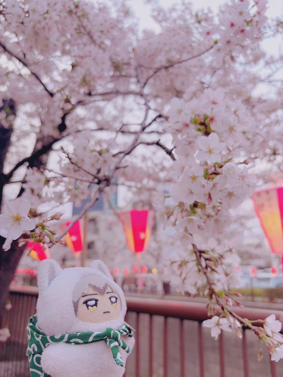 おゆこ tweet media