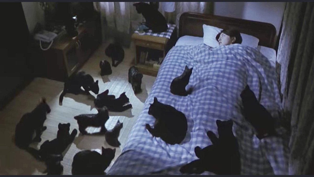 呪怨で唯一羨ましいと思った黒猫マーのシーン🐈‍⬛🐈‍⬛🐈‍⬛