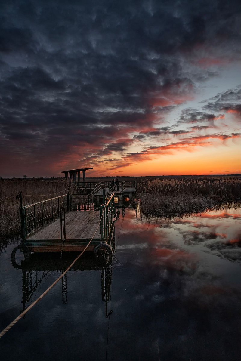 Jarek Gromulski tweet media