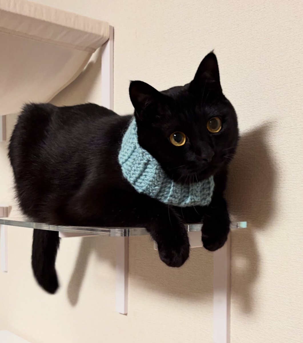 うに3才 tweet media