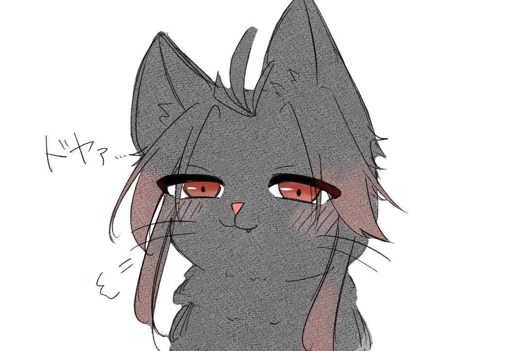 しゃふ. tweet media