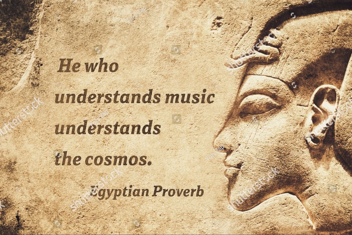 Shamz Tabrizi tweet media