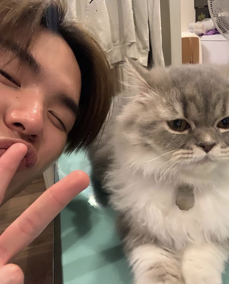 /ˈaɪrɪs/ ꜰᴛ. แม่หนูนิด tweet media