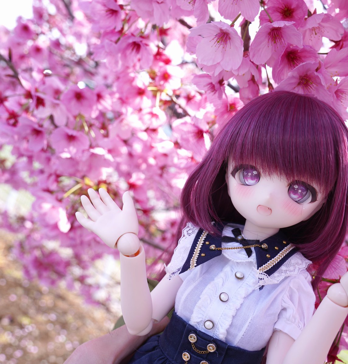 めろか tweet media