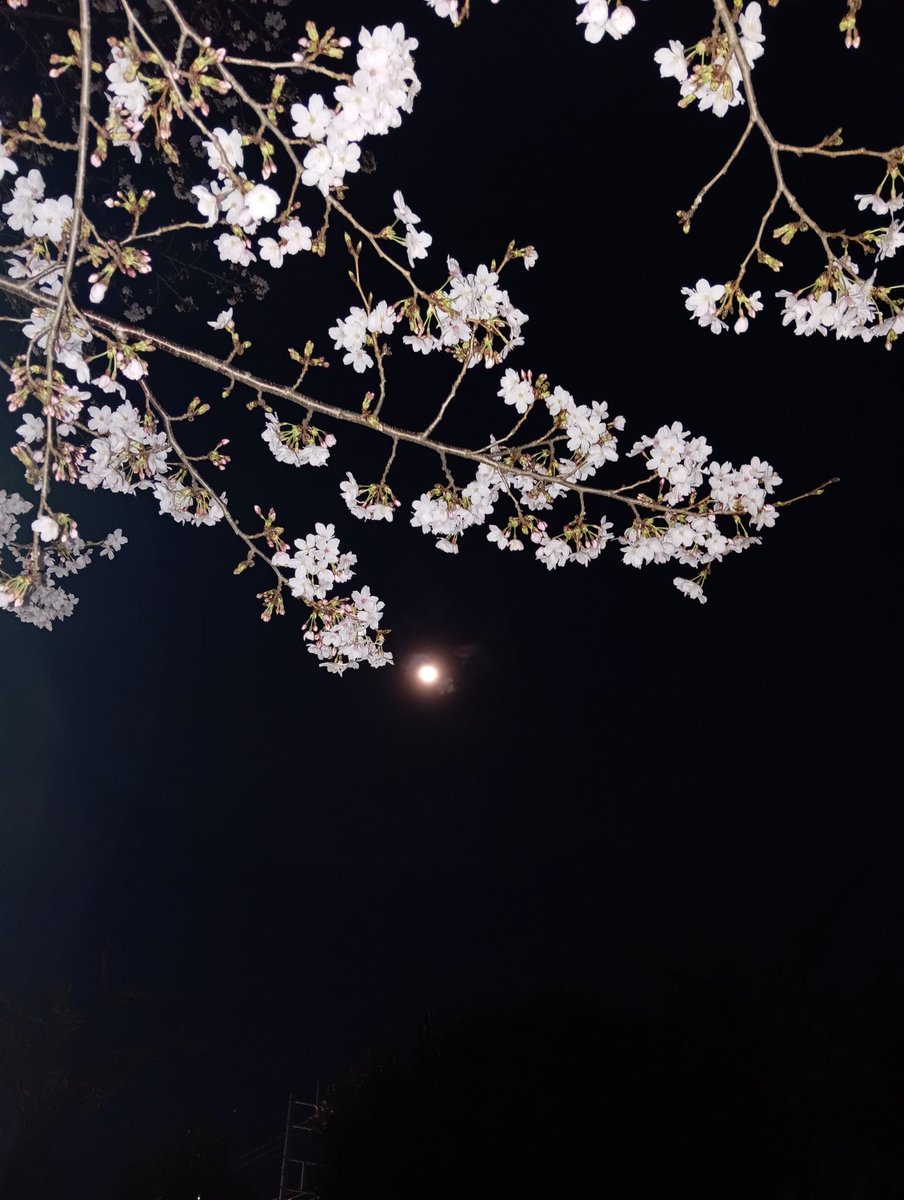 やぶ♡ tweet media