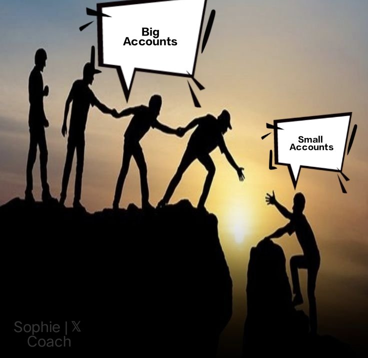 Sophie | Ⓧ Coach tweet media