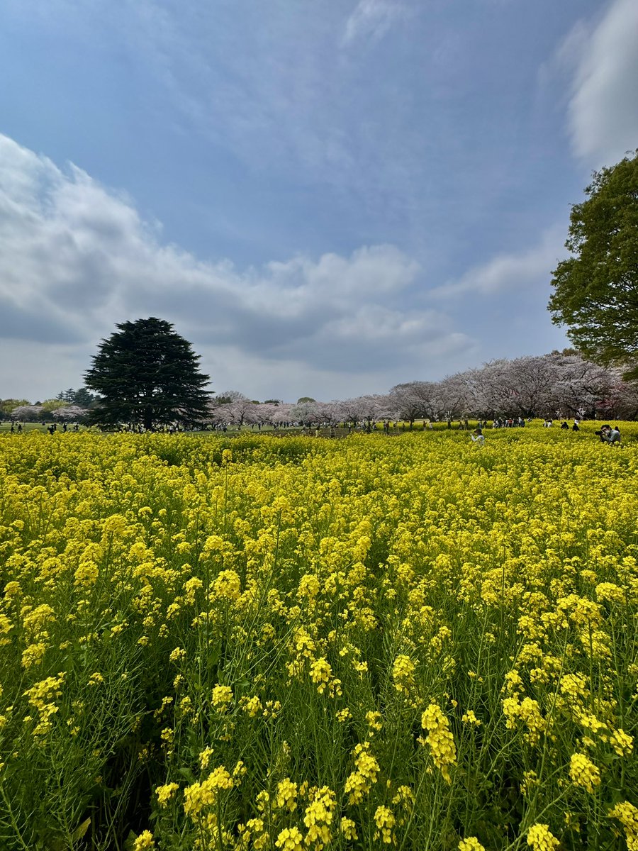 ひなっち🐣 tweet media