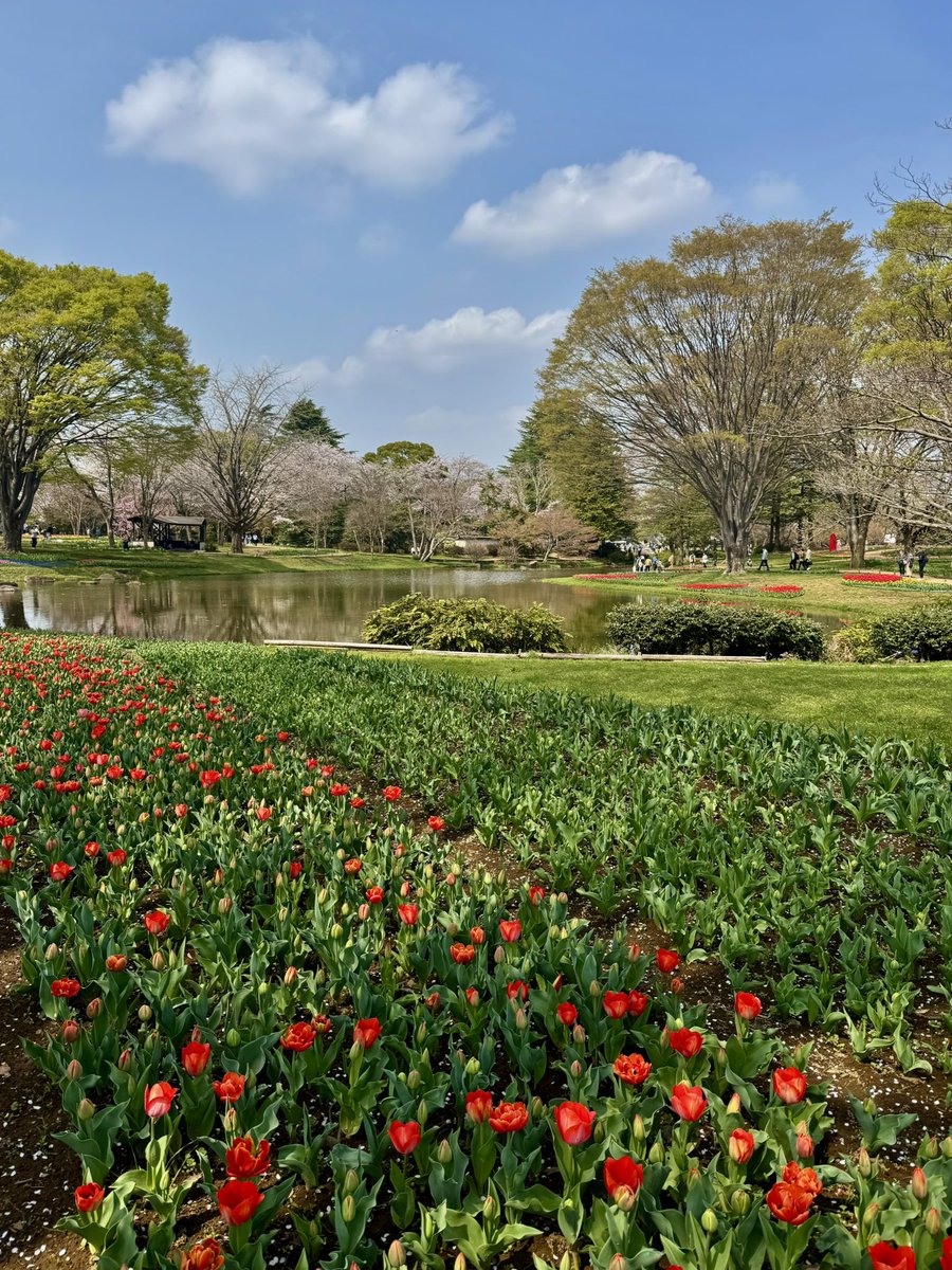 ひなっち🐣 tweet media