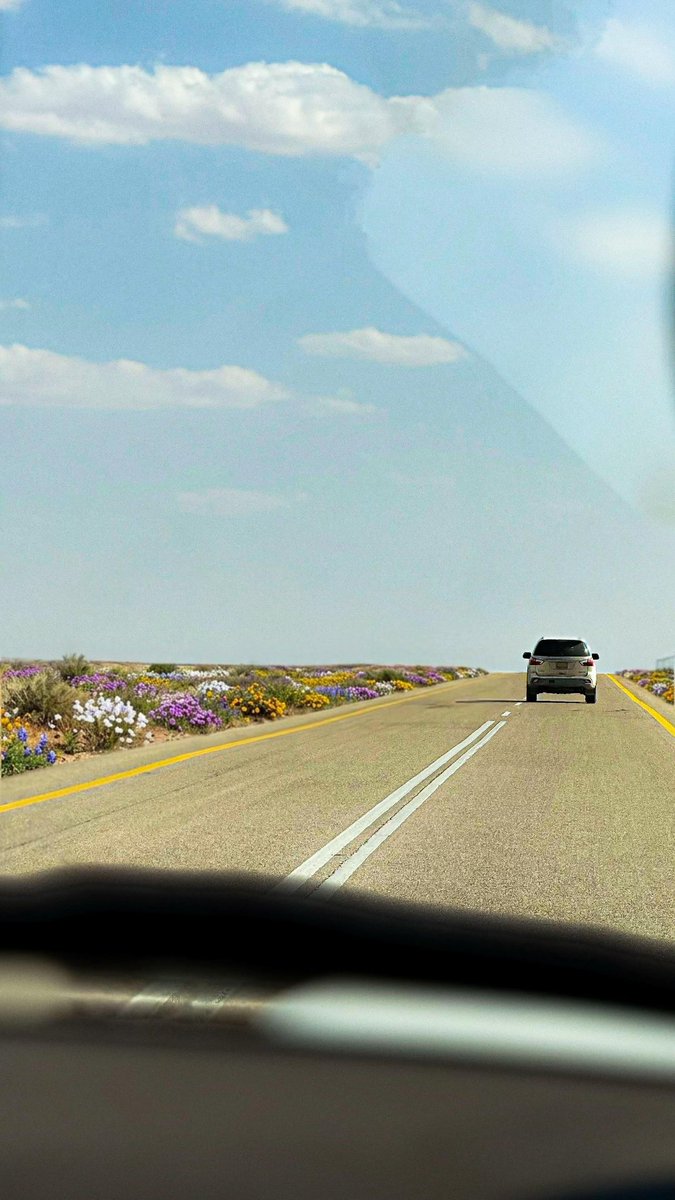 ‏ فالكون tweet media