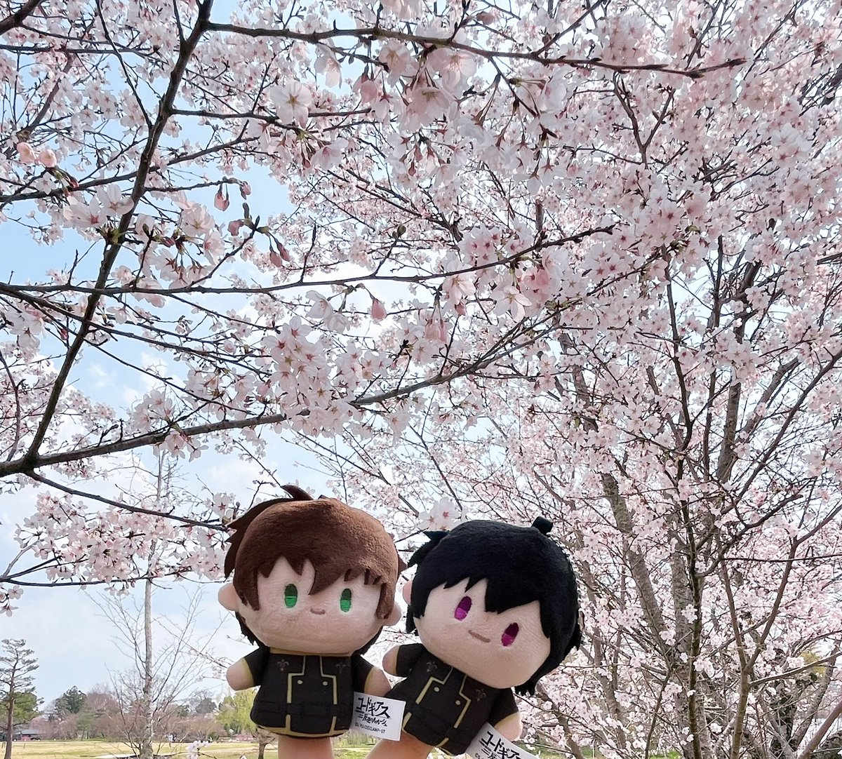 Ryokoshiro (@yushi010606) on Twitter photo 