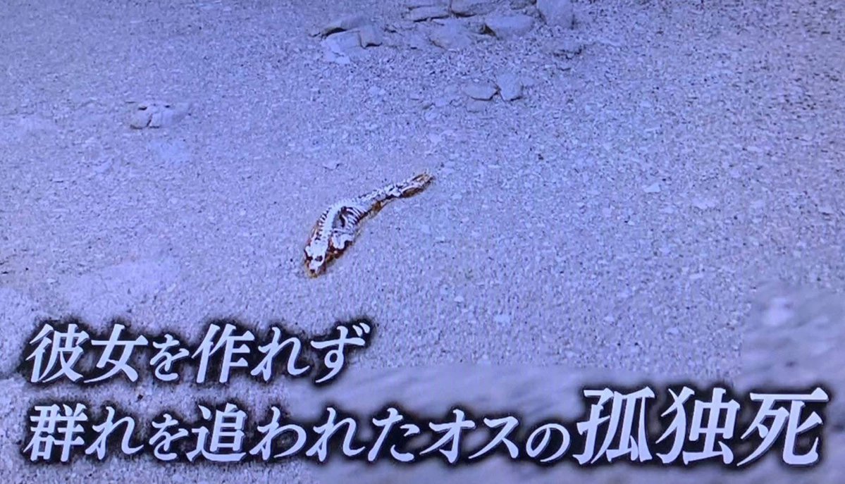 うつだもん tweet media