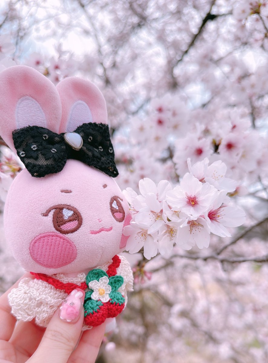 ちの☘️ tweet media