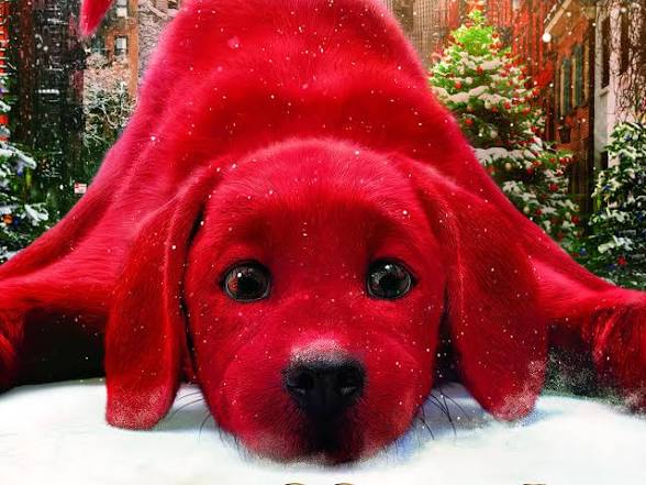 Mutoni Audreille tweet media