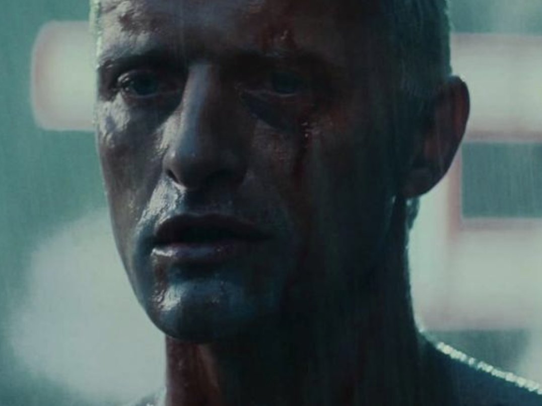 martino pillitteri tweet media