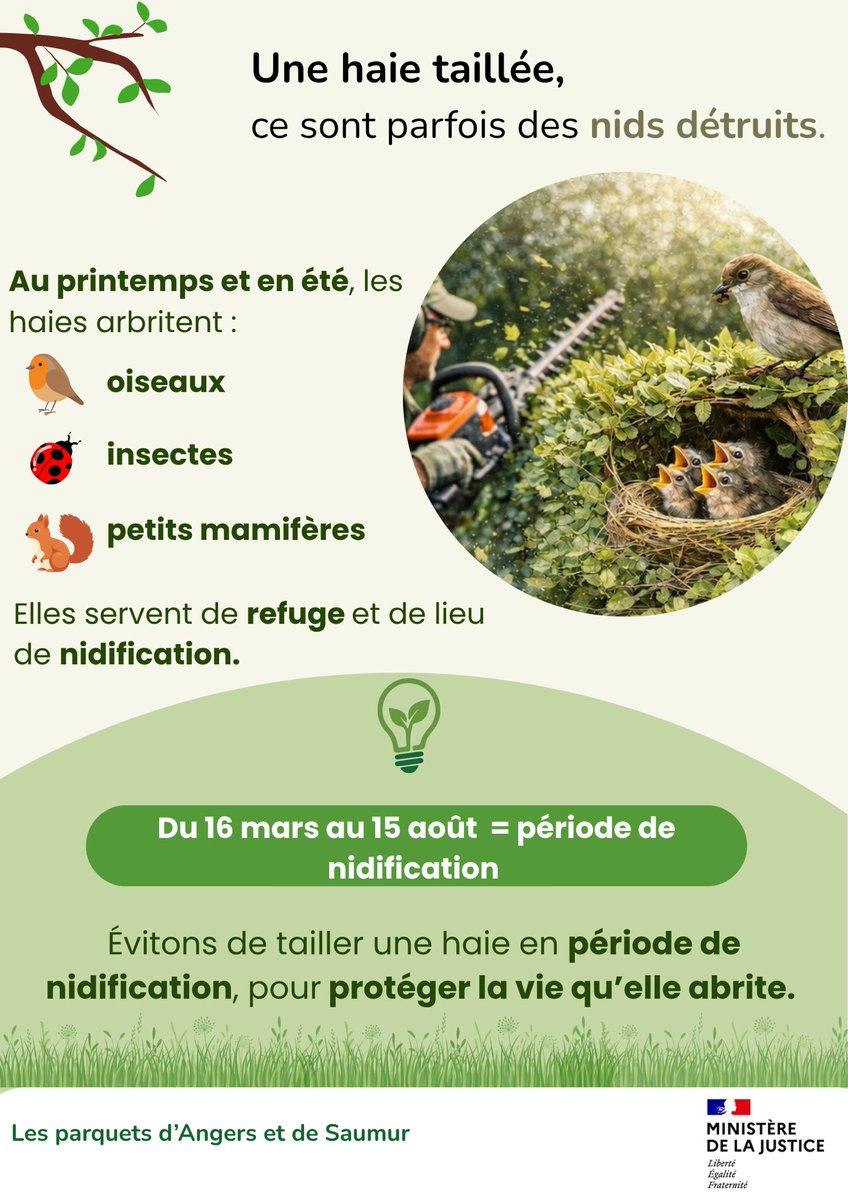 Eric BOUILLARD, procureur de la République Angers tweet media