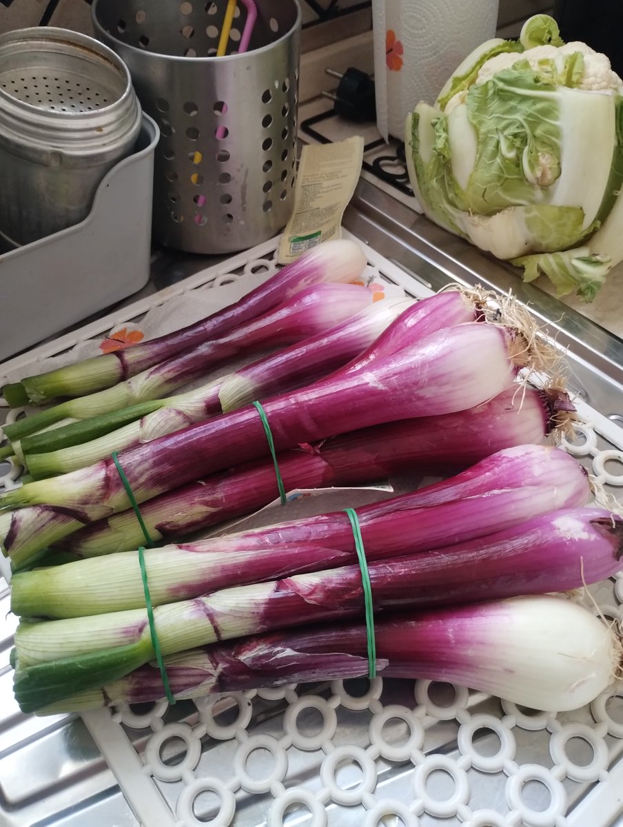 mauro rapeti tweet media