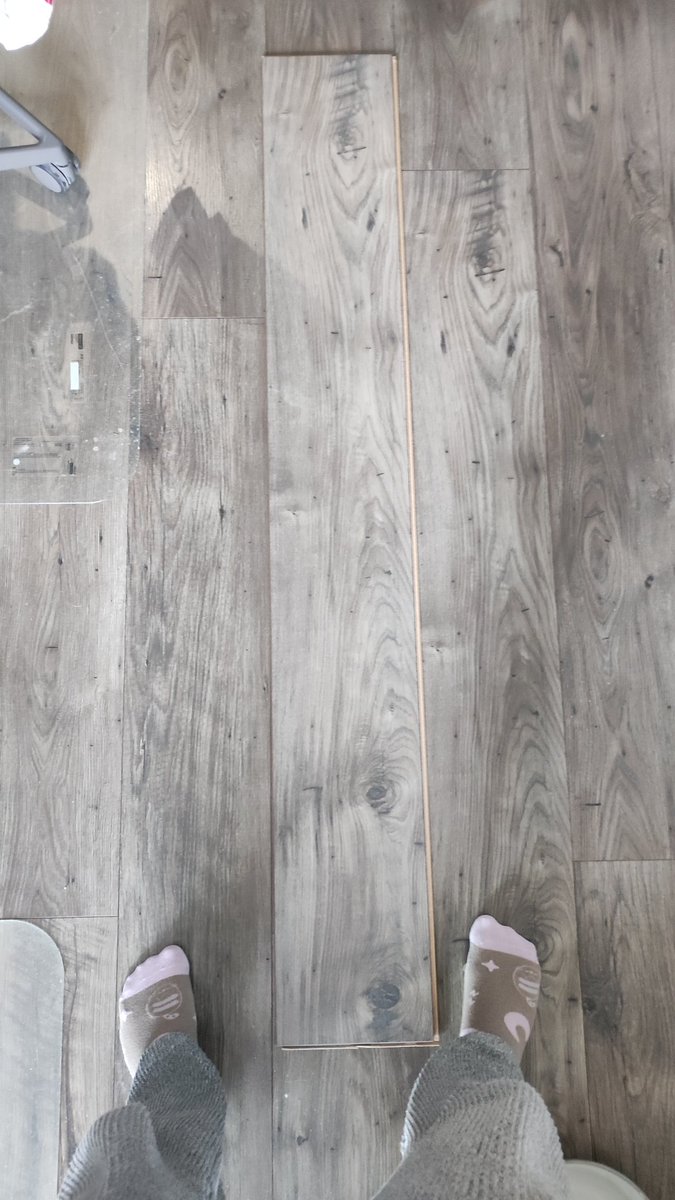 Ее унесли кабаны 🐗🐗🐗 tweet media