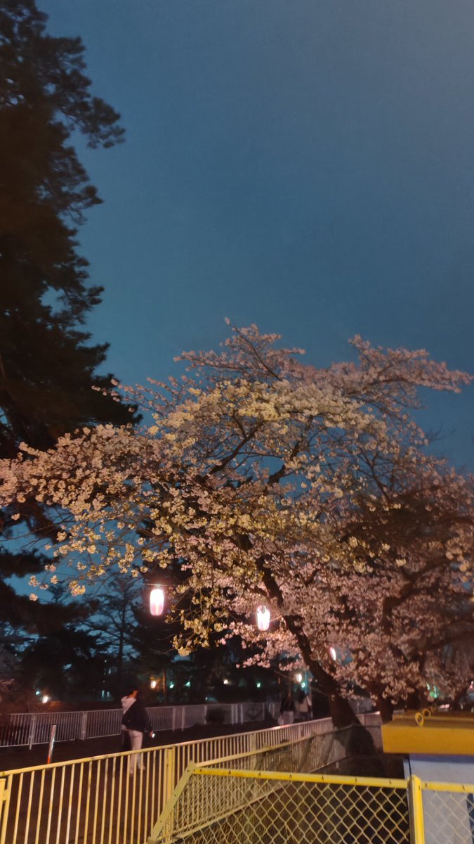 まっくろ tweet media