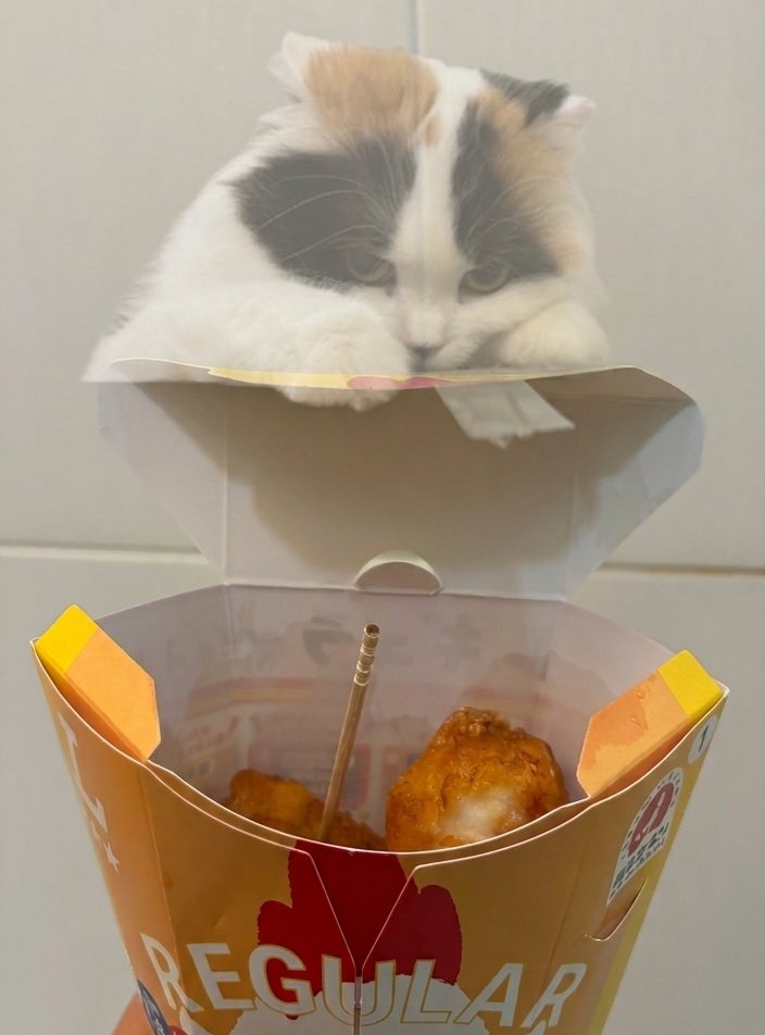 キムチ母‼️ tweet media