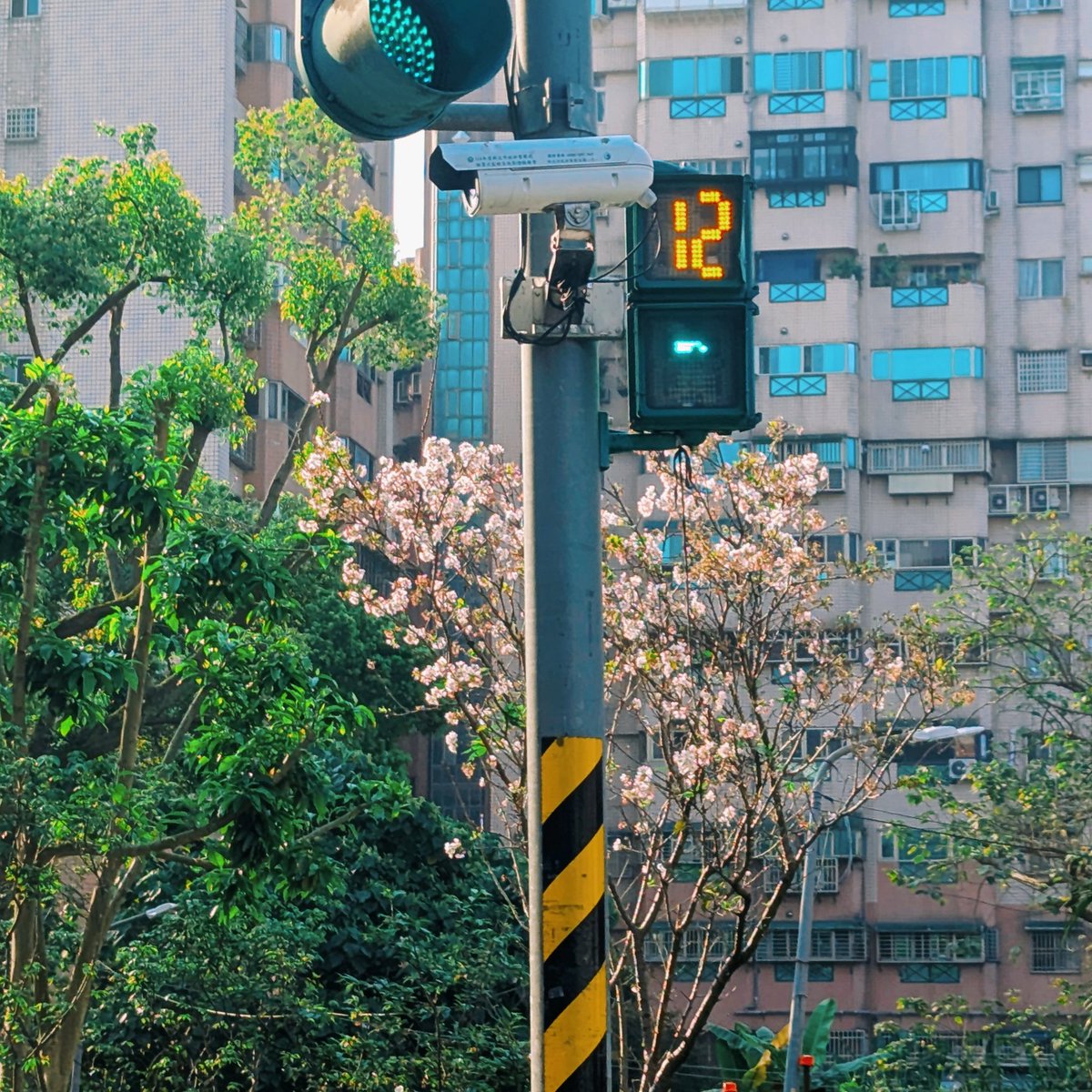 GUSA💮 tweet media