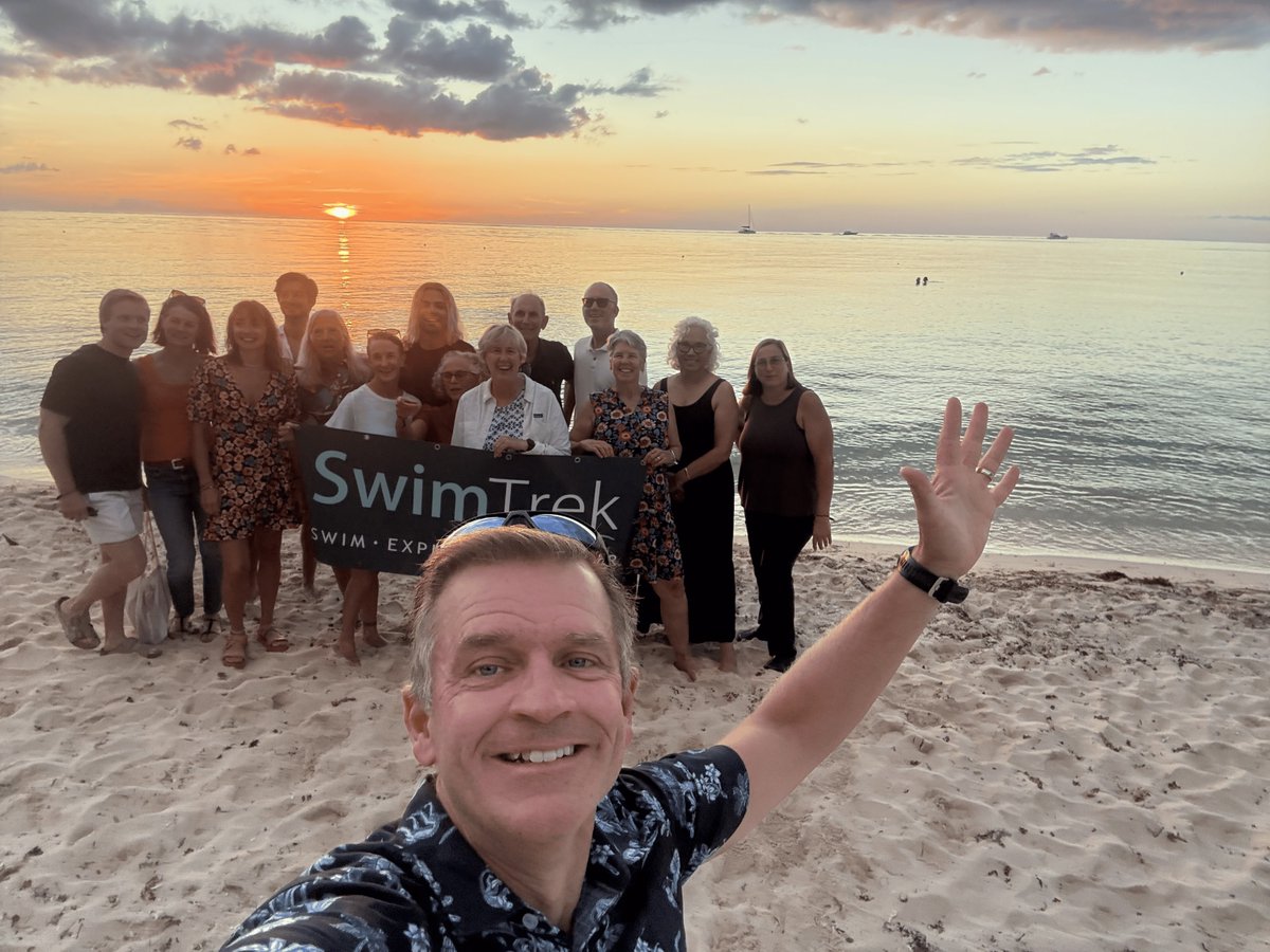 SwimTrek tweet media